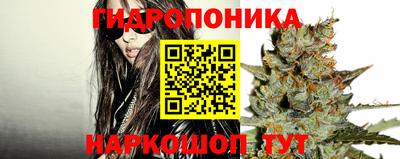 Альфа ПВП Ипатово