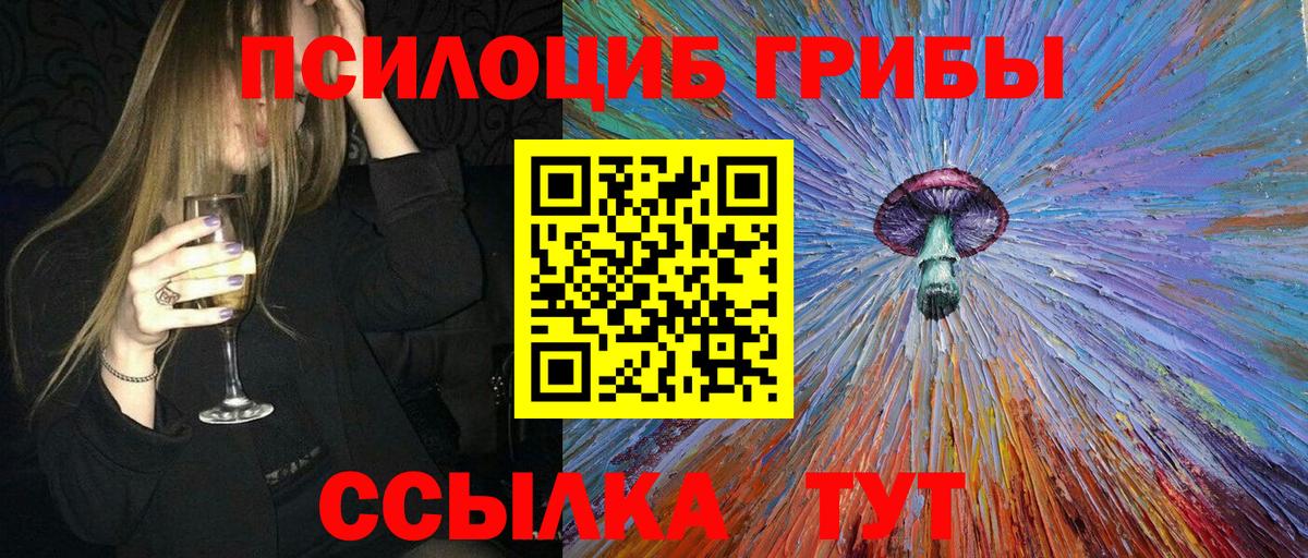Заволжье  Псилоцибиновые грибы Psilocybe  Вход с VPN 